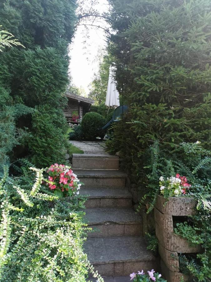 شقة Haus Am Bach كيرشبرغ ان تيرول المظهر الخارجي الصورة